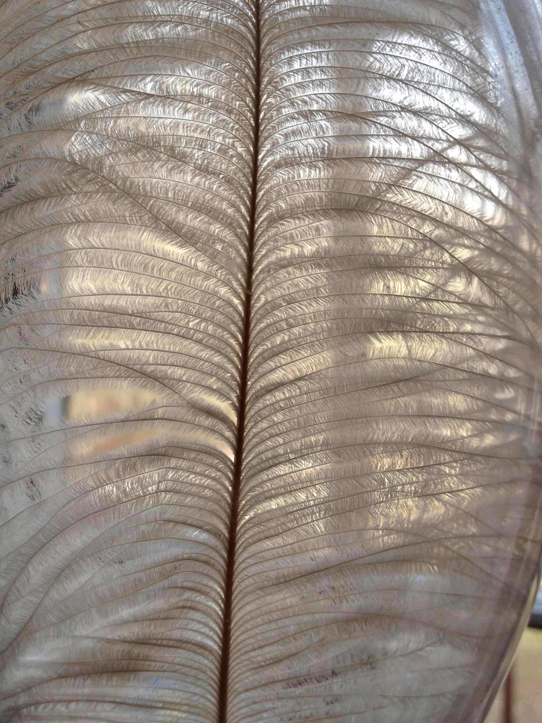 Old Lyme - 2 of 2.jpeg