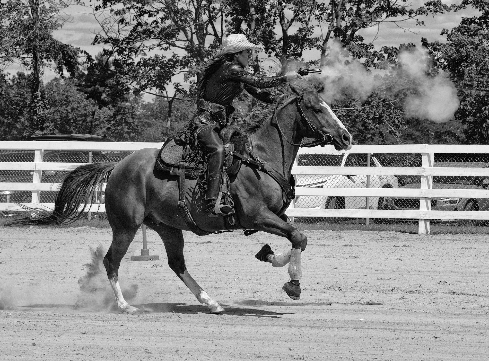 Horse shooter "blue" 7350.jpg