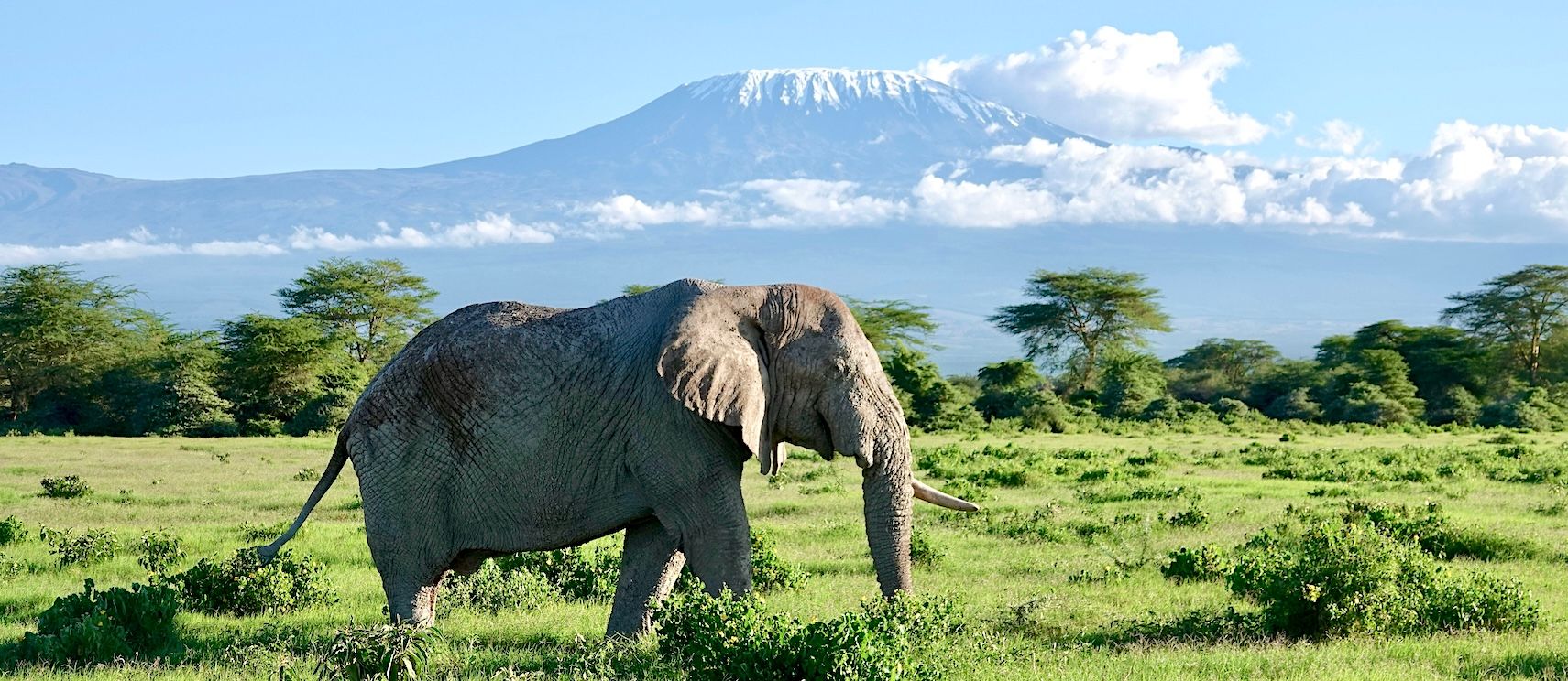 HP - ele and kili.jpg