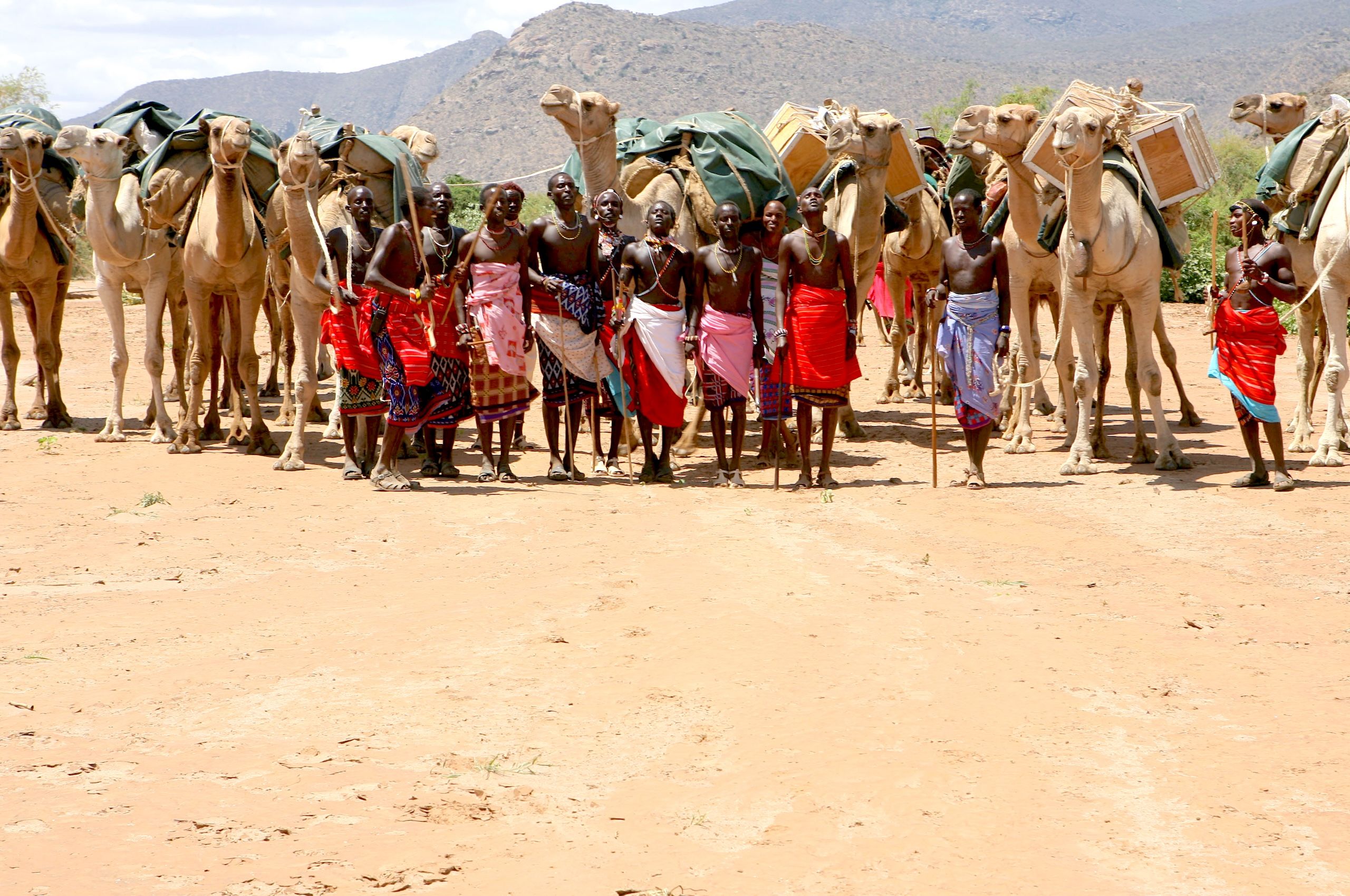 LBS Helen's Samburu.jpg