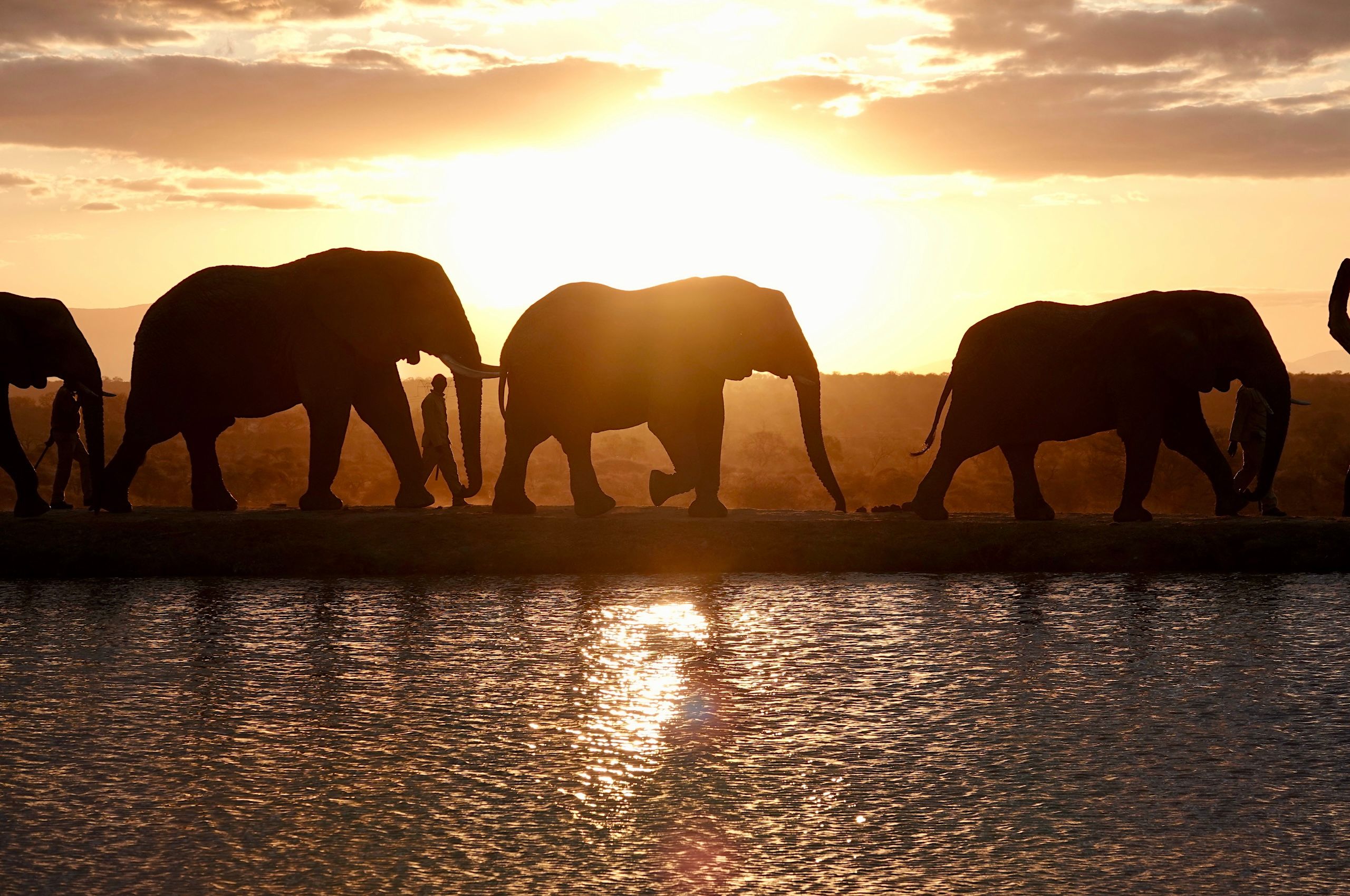 LBS Jabulani parade.jpg