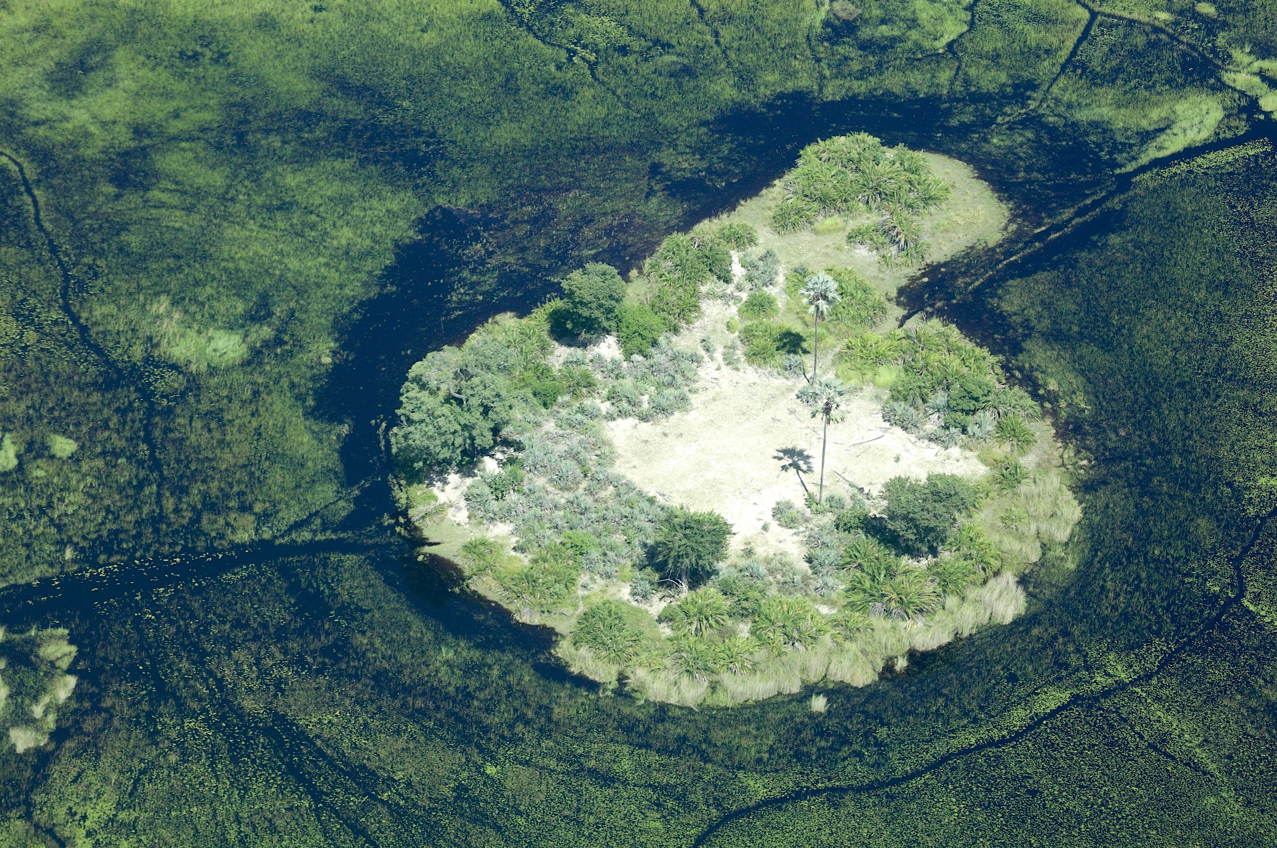 LBS Delta Aerial.jpeg