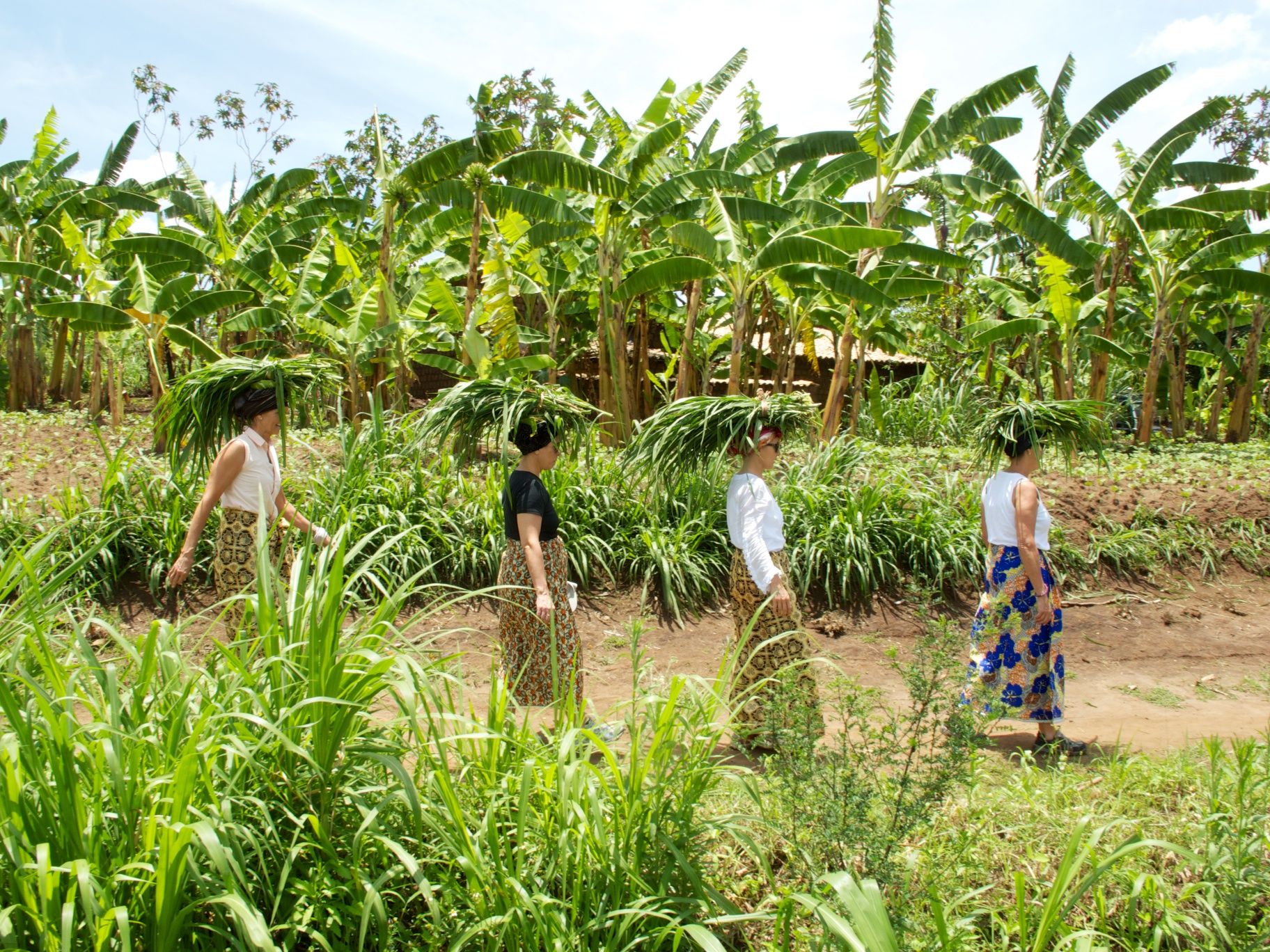 A Women_s work is never done, Muhanga, Rwanda - Greenwich residents l-r Laura Geffs, Laurie Jeffrey, Anna Wallenberg and Sara Rawson.jpeg