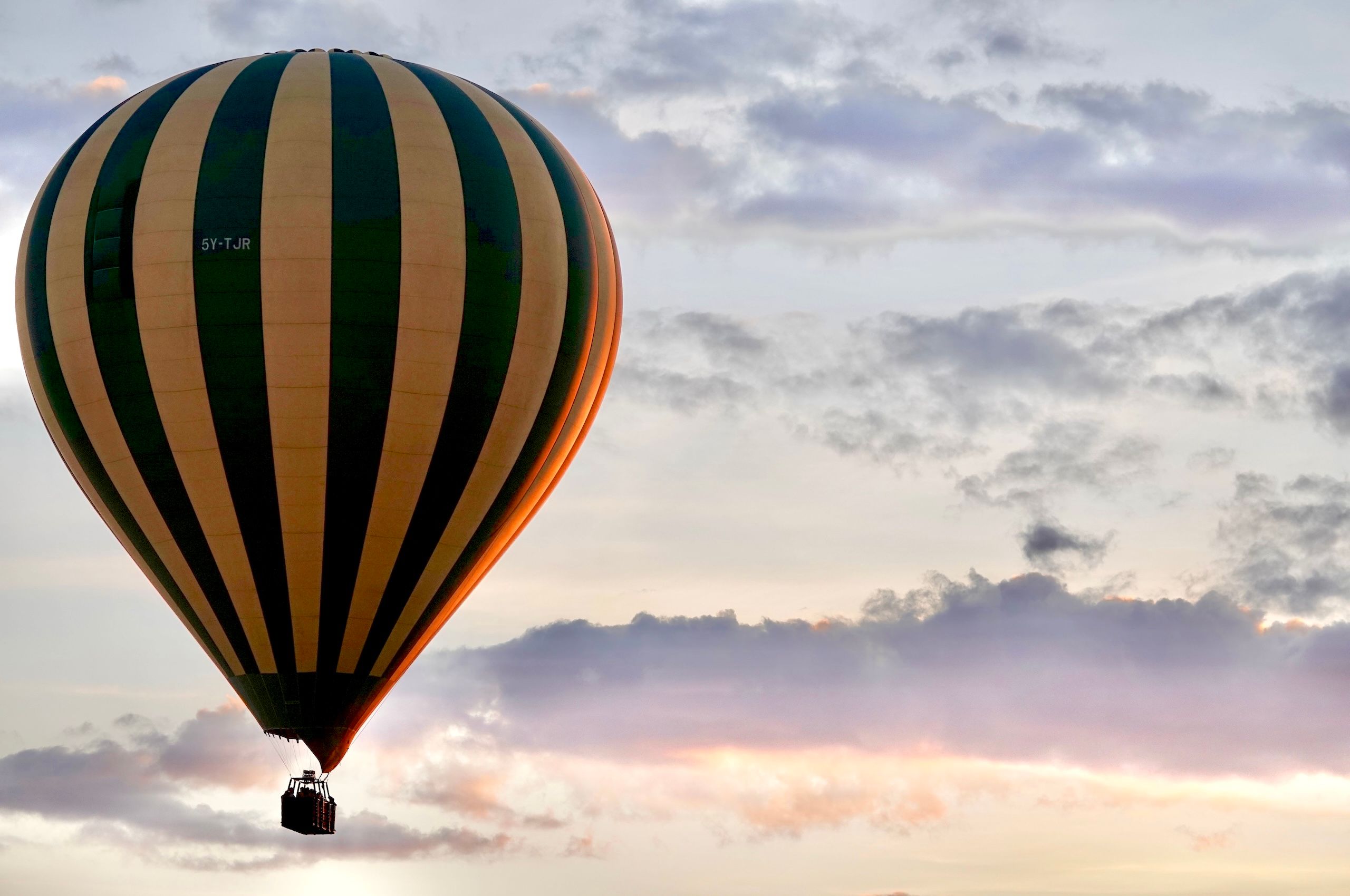 LBS lone balloon.jpg