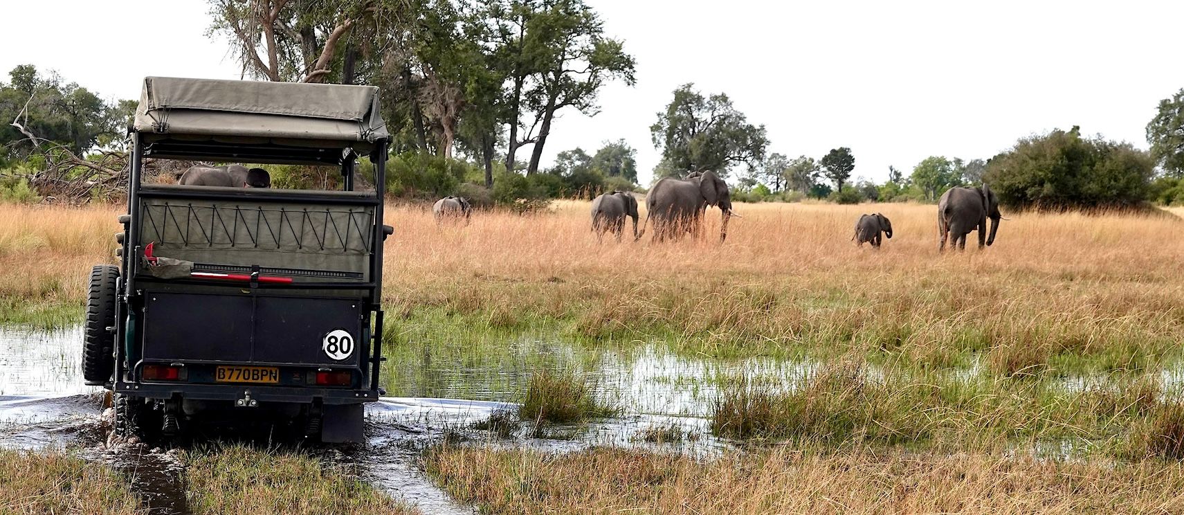 HP - jeep w eles.jpg