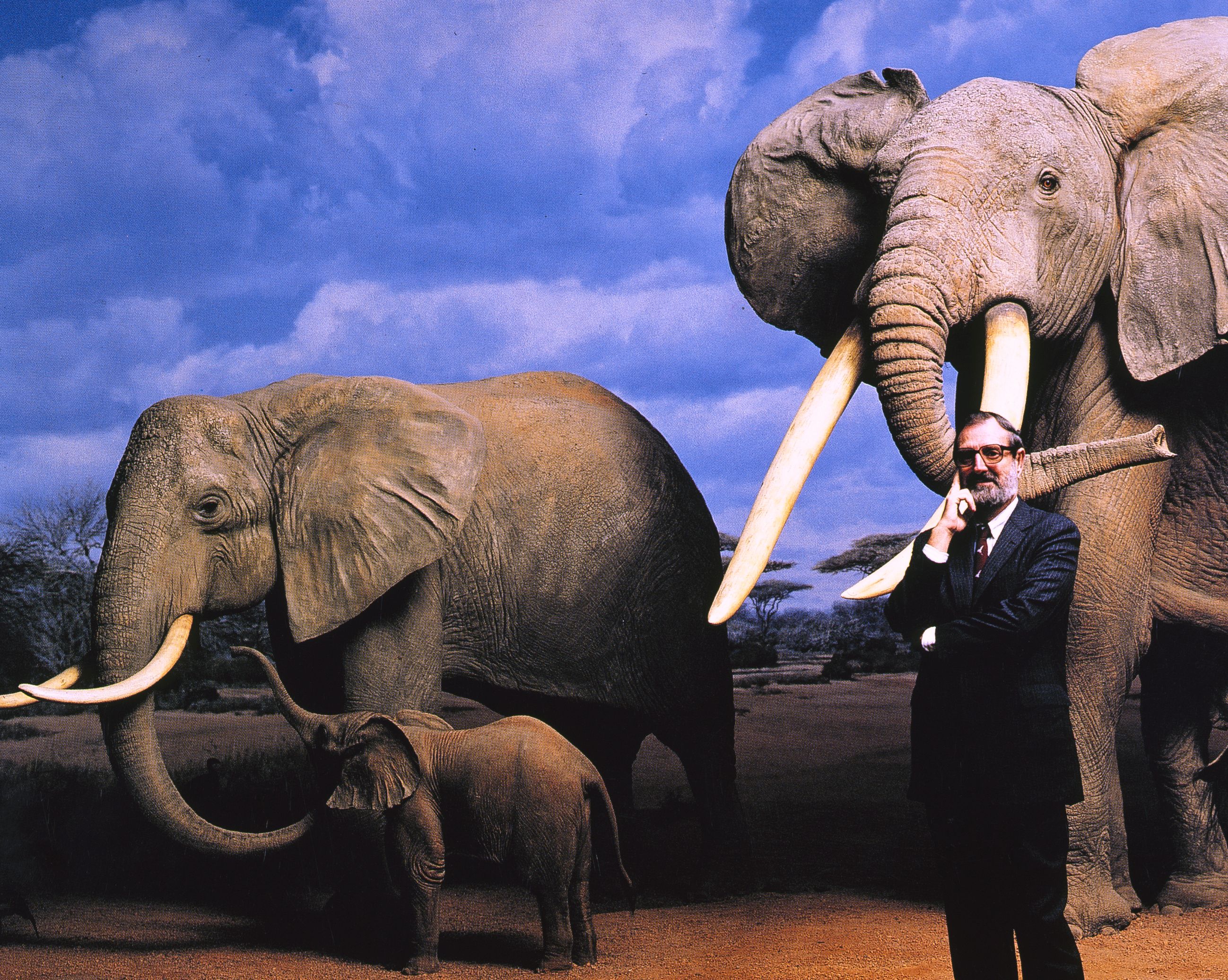 Natural History Museum 