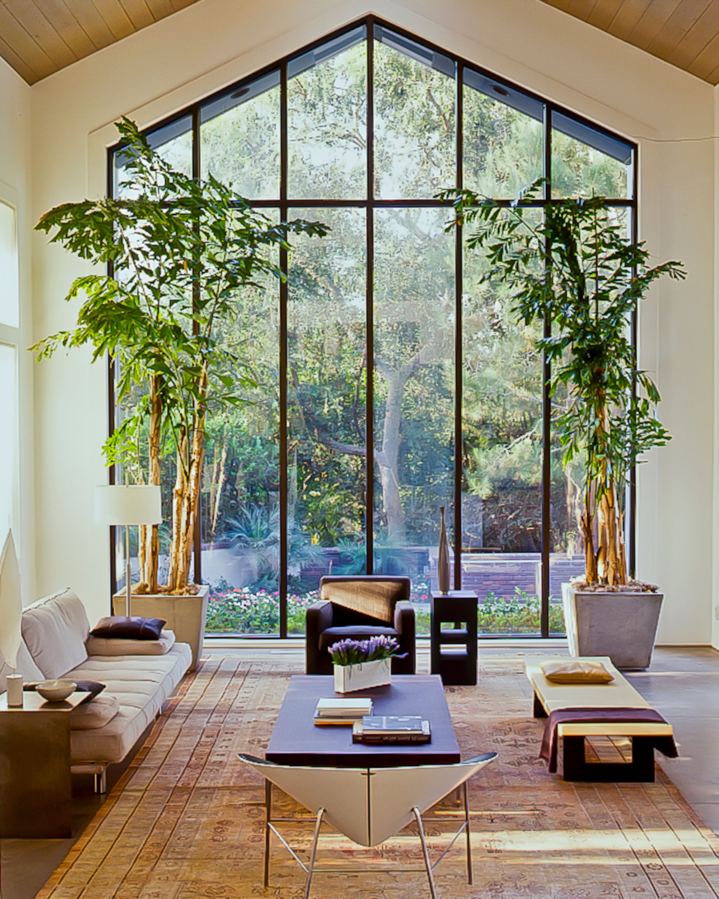 Scan 13.tiff_46157.JPG