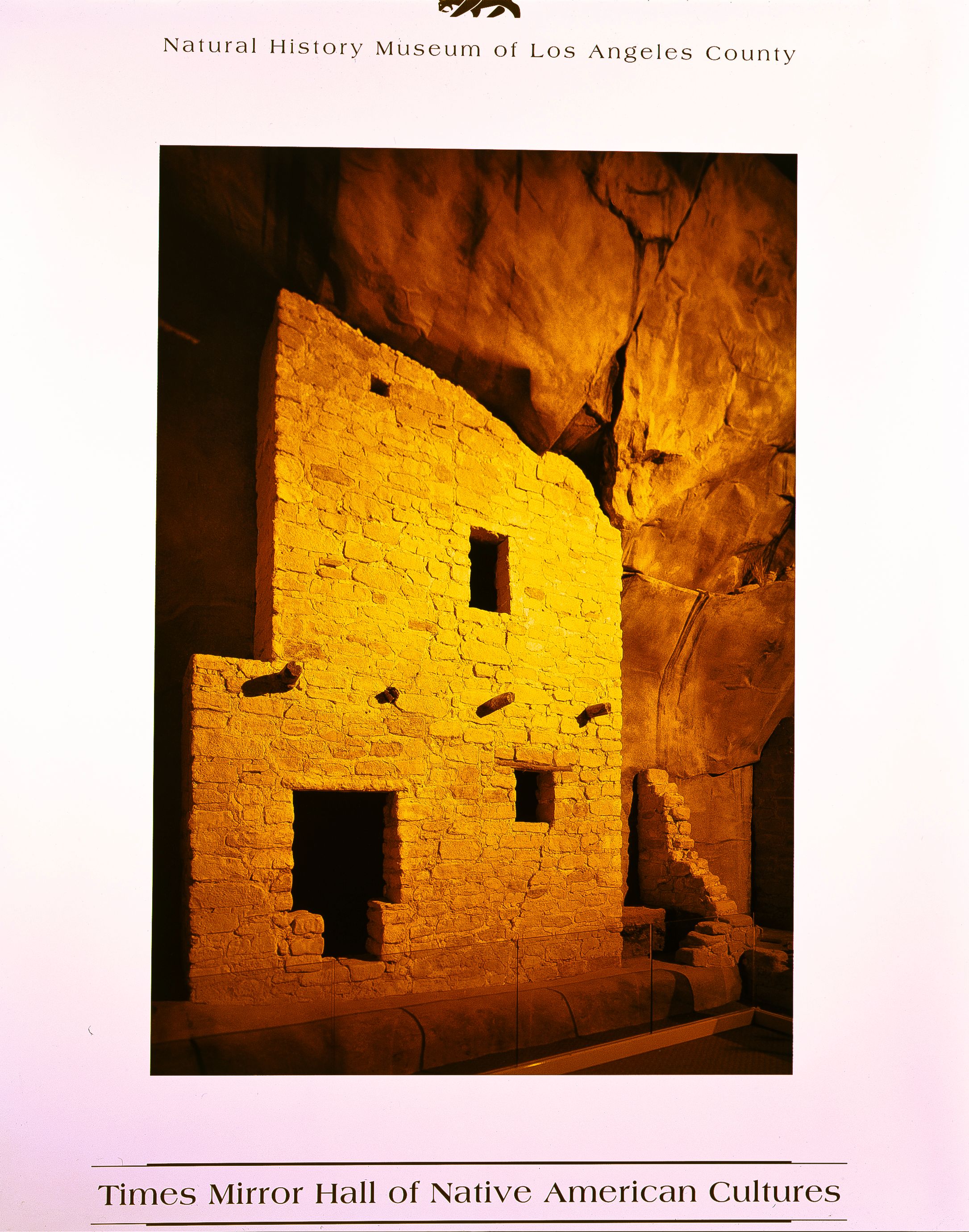 Natural History Museum Poster