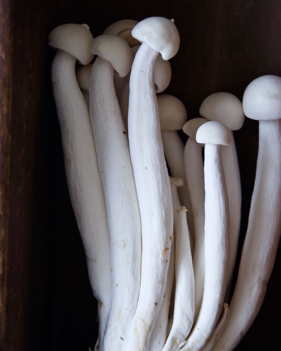 king mushrooms.jpg