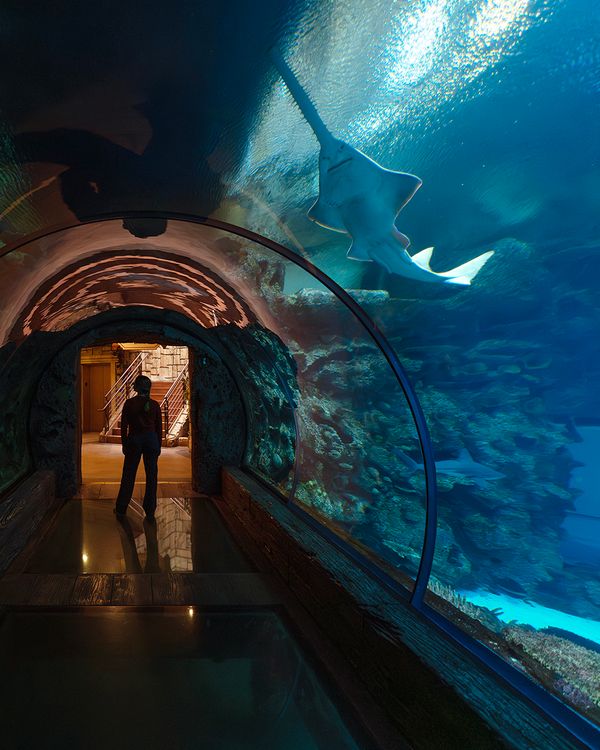 VP_MANDALAY_AQUARIUM_01.jpg