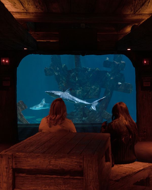 VP_MANDALAY_AQUARIUM_04.jpg
