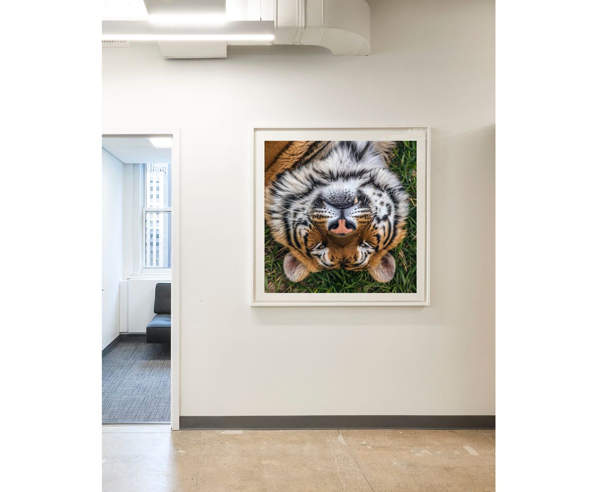 ESMITH_FRAMING_01.jpg