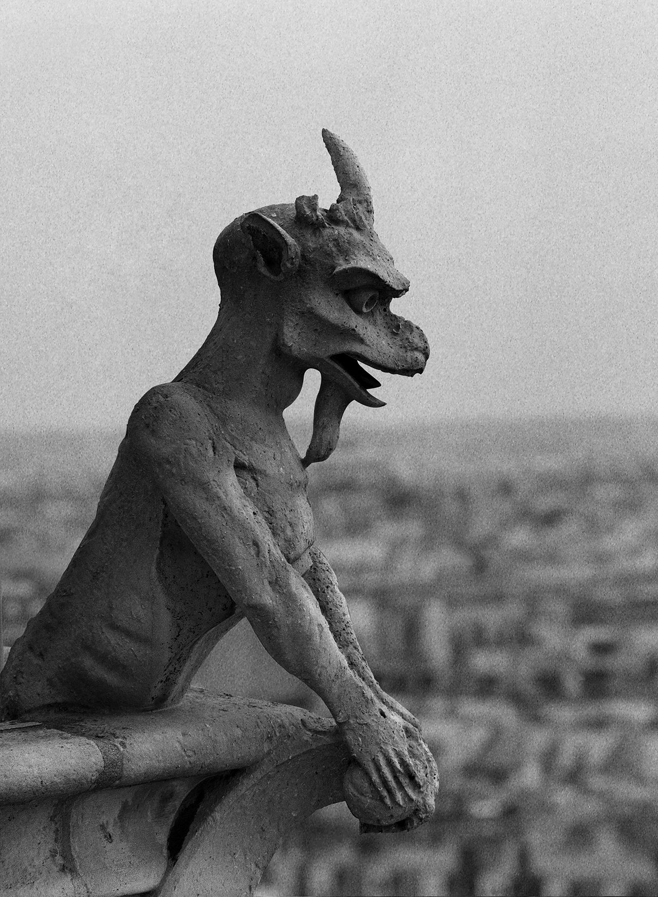 Notre Dame Paris 2.jpg