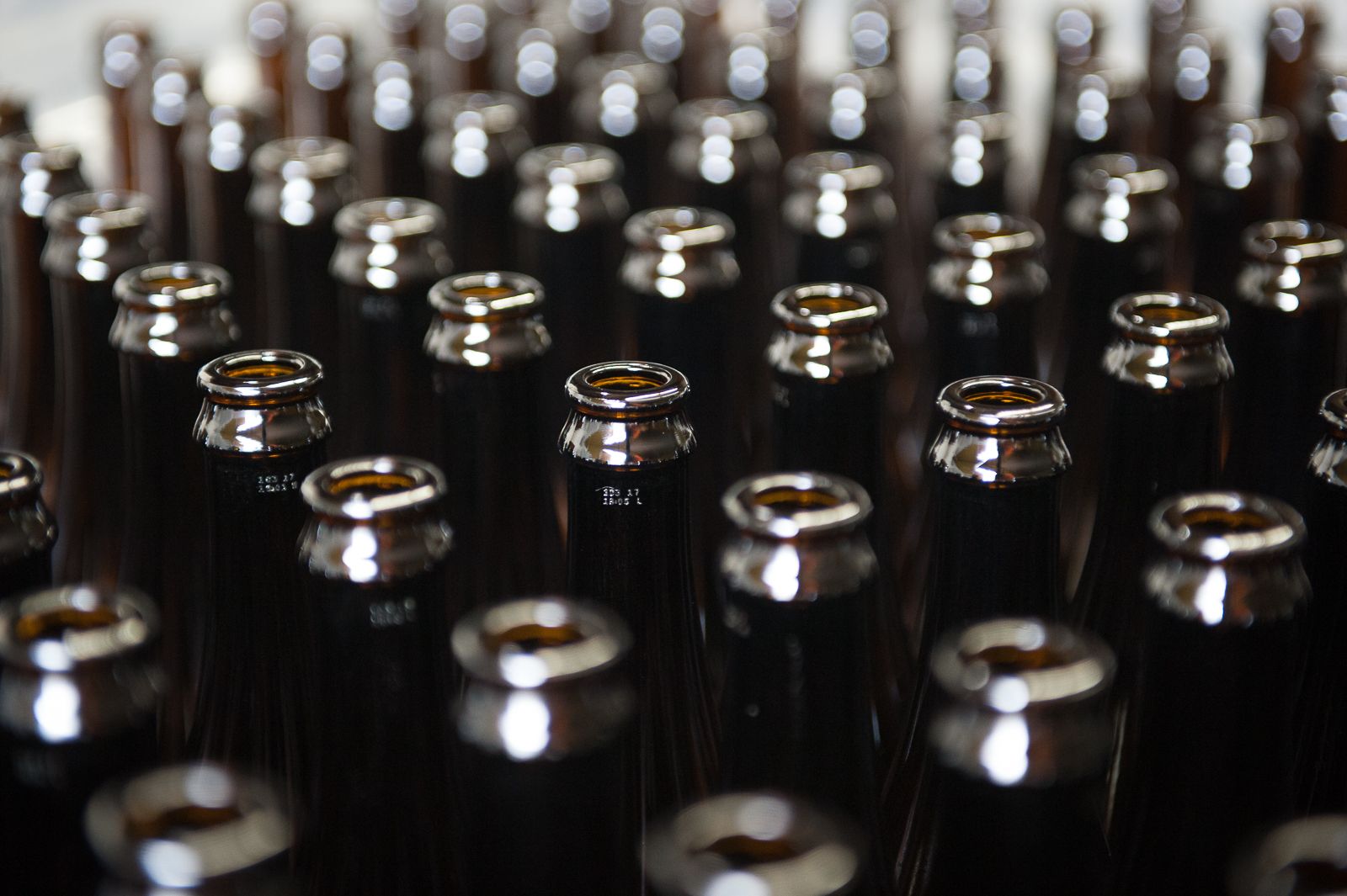 FARM TO TABLE WEB IMAGES-33.jpg