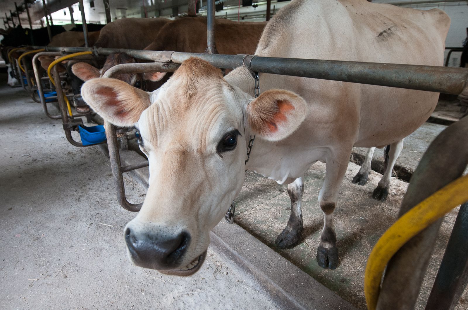 FARM TO TABLE WEB IMAGES-4.jpg