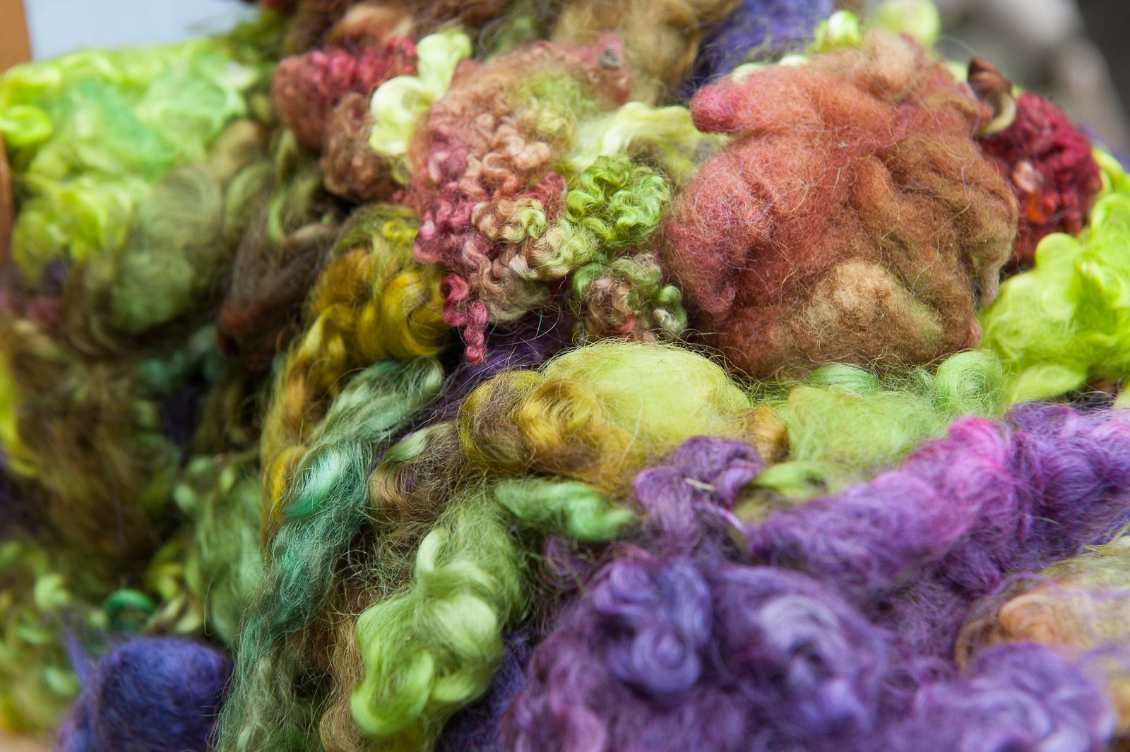 FARM TO TABLE WEB IMAGES-81.jpg