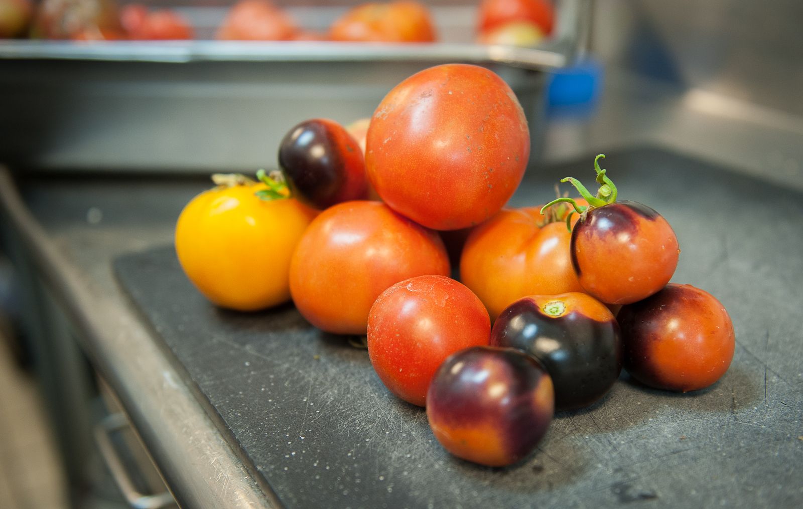 FARM TO TABLE WEB IMAGES-50.jpg