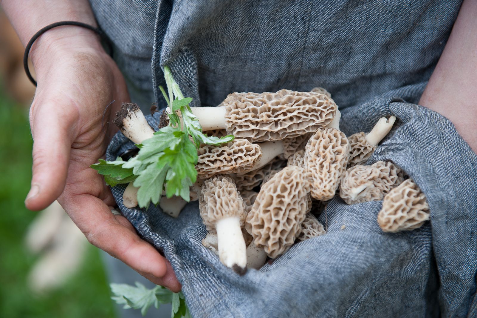 FARM TO TABLE WEB IMAGES-12.jpg