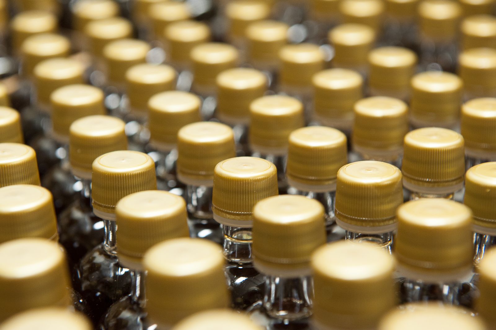 FARM TO TABLE WEB IMAGES-23.jpg