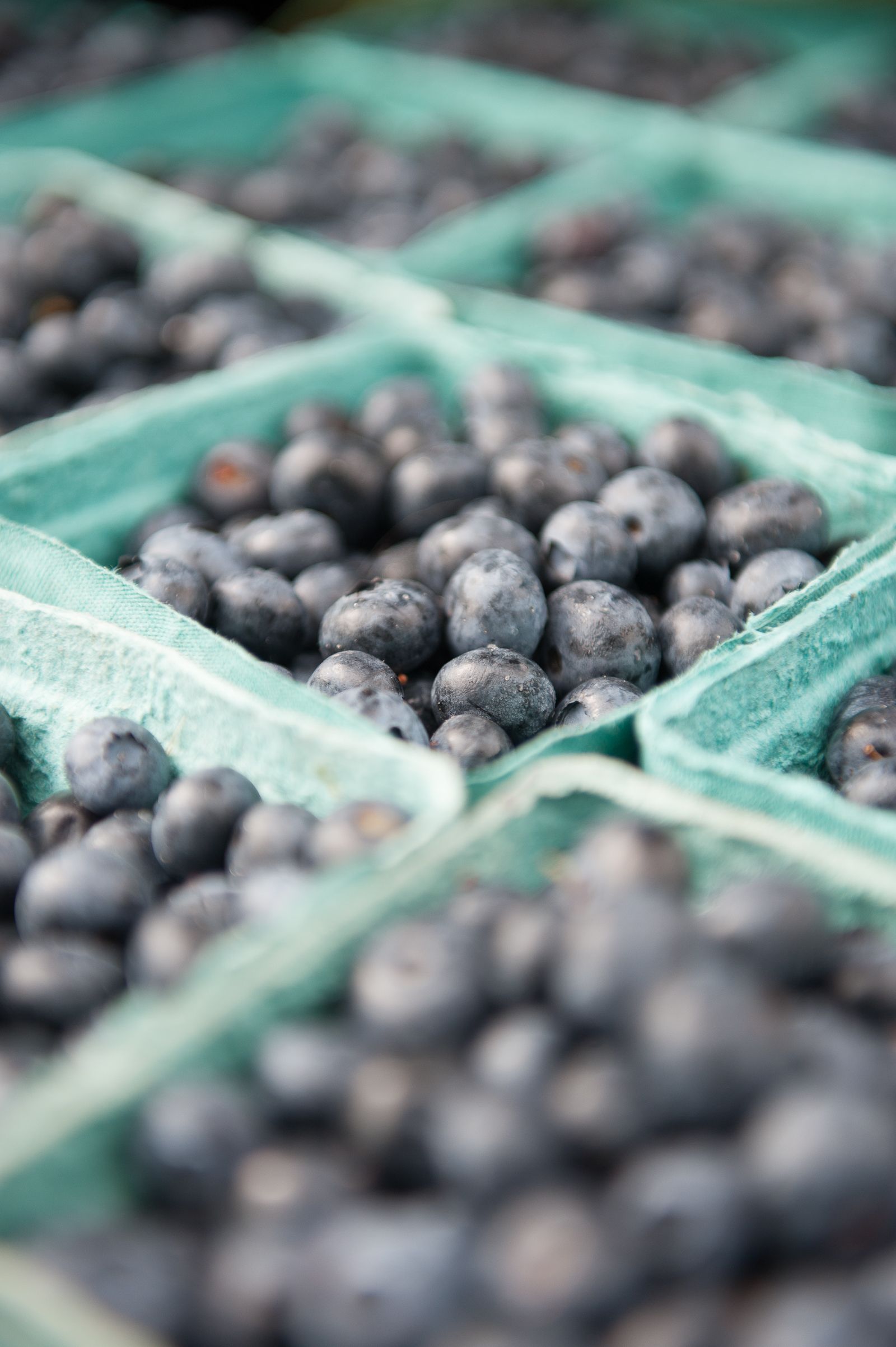 FARM TO TABLE WEB IMAGES-25.jpg