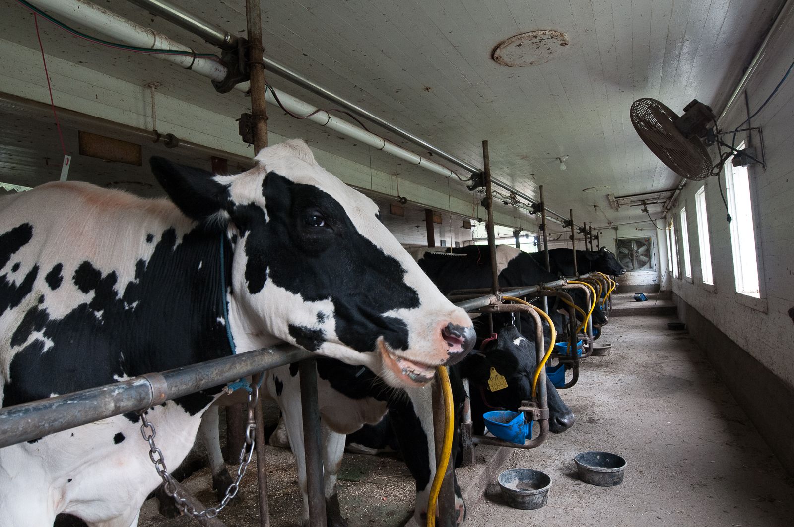 FARM TO TABLE WEB IMAGES-7.jpg