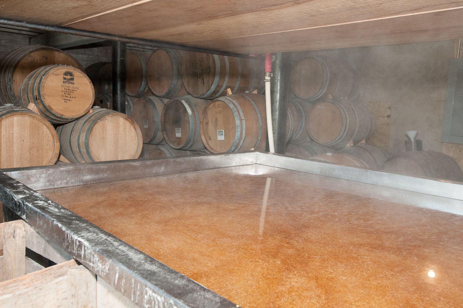 FARM TO TABLE WEB IMAGES-57.jpg