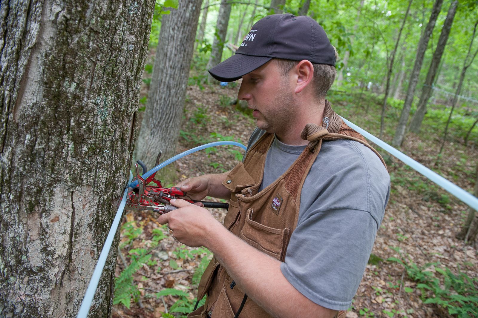 FARM TO TABLE WEB IMAGES-22.jpg