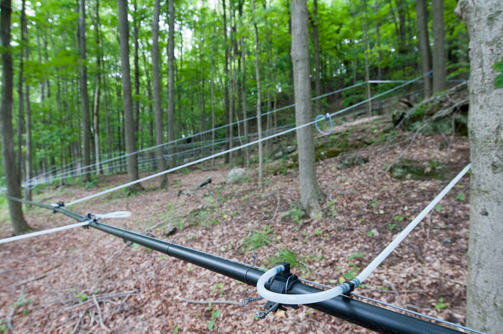 FARM TO TABLE WEB IMAGES-20.jpg