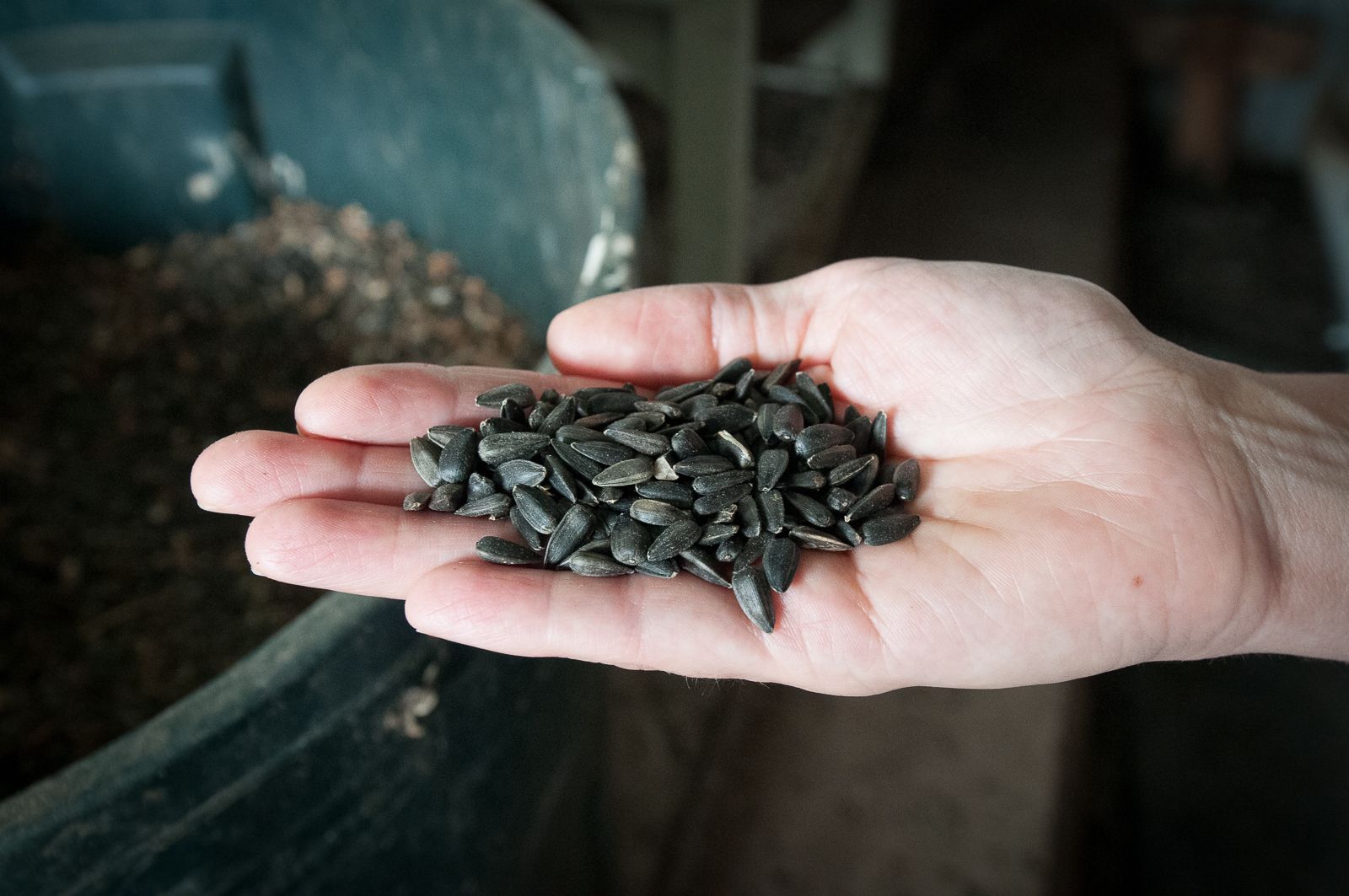 FARM TO TABLE WEB IMAGES-38.jpg