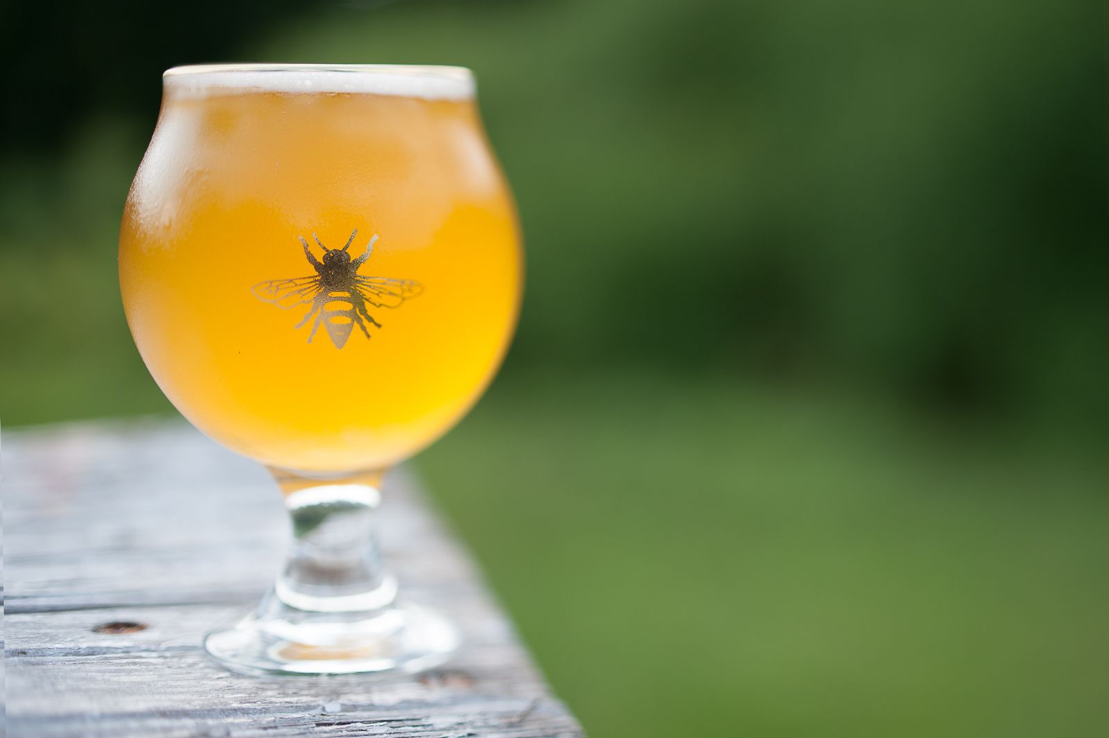 FARM TO TABLE WEB IMAGES-79.jpg