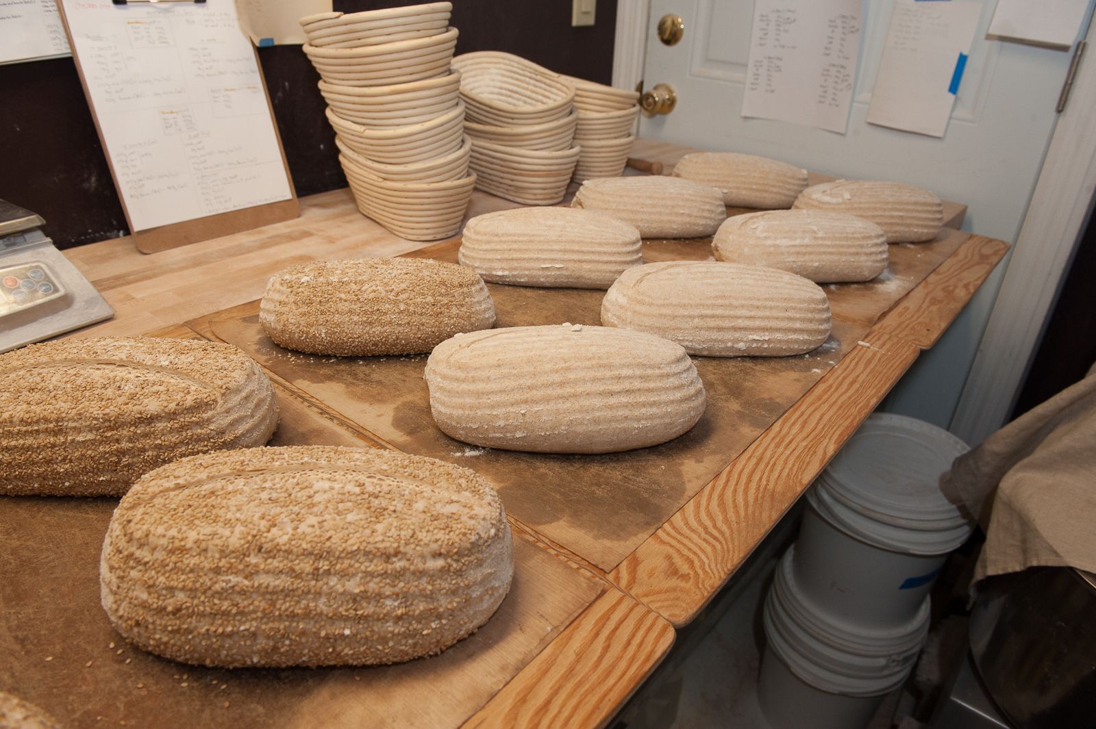 FARM TO TABLE WEB IMAGES-76.jpg