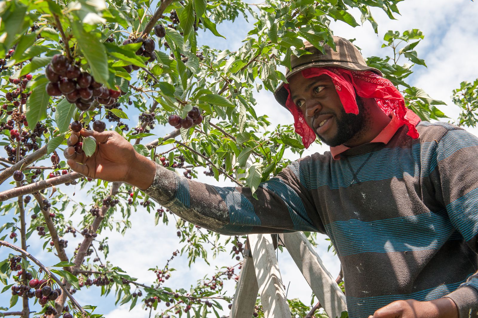 FARM TO TABLE WEB IMAGES-26.jpg