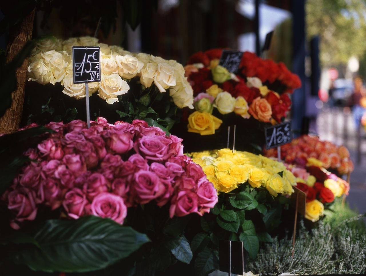 Paris Flower Stand.jpg