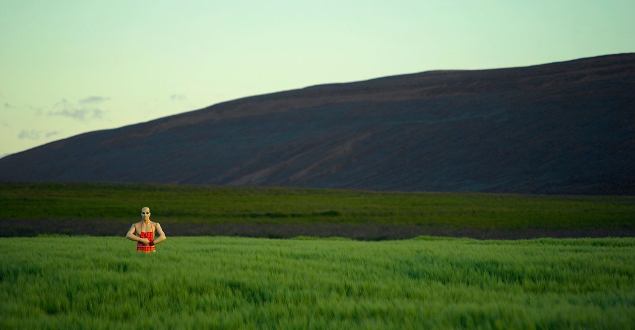 Scarecrow Roadside.jpg