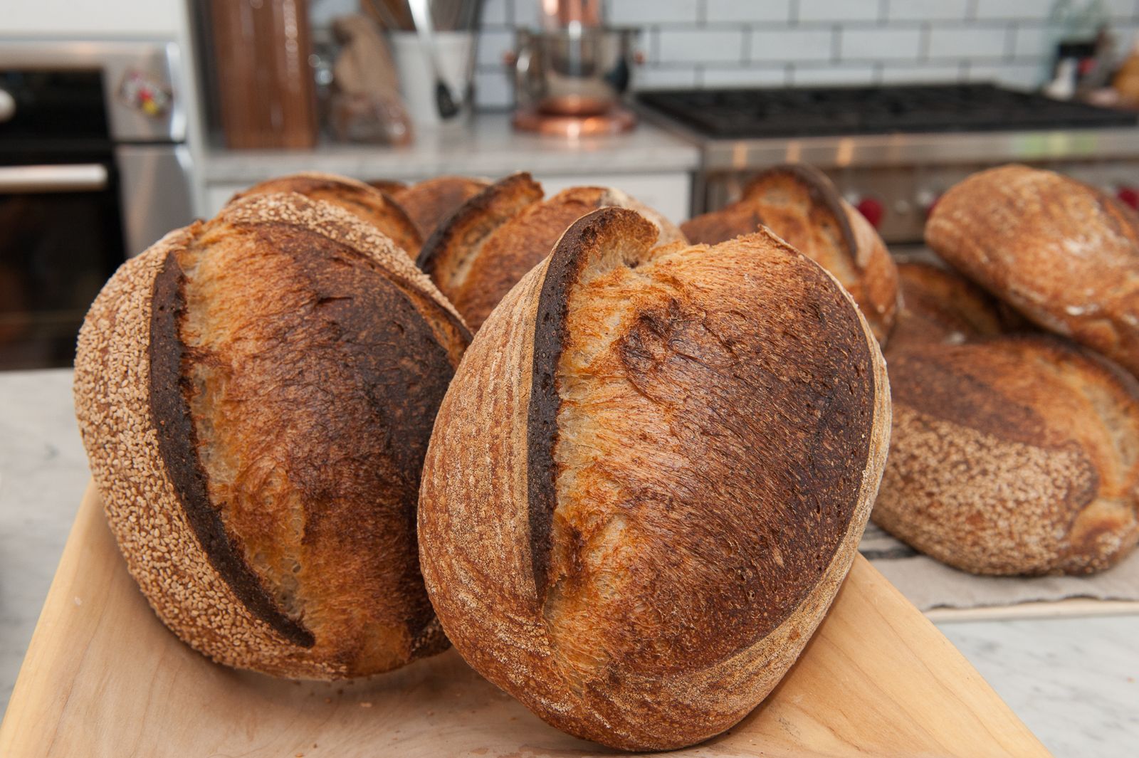 FARM TO TABLE WEB IMAGES-32.jpg