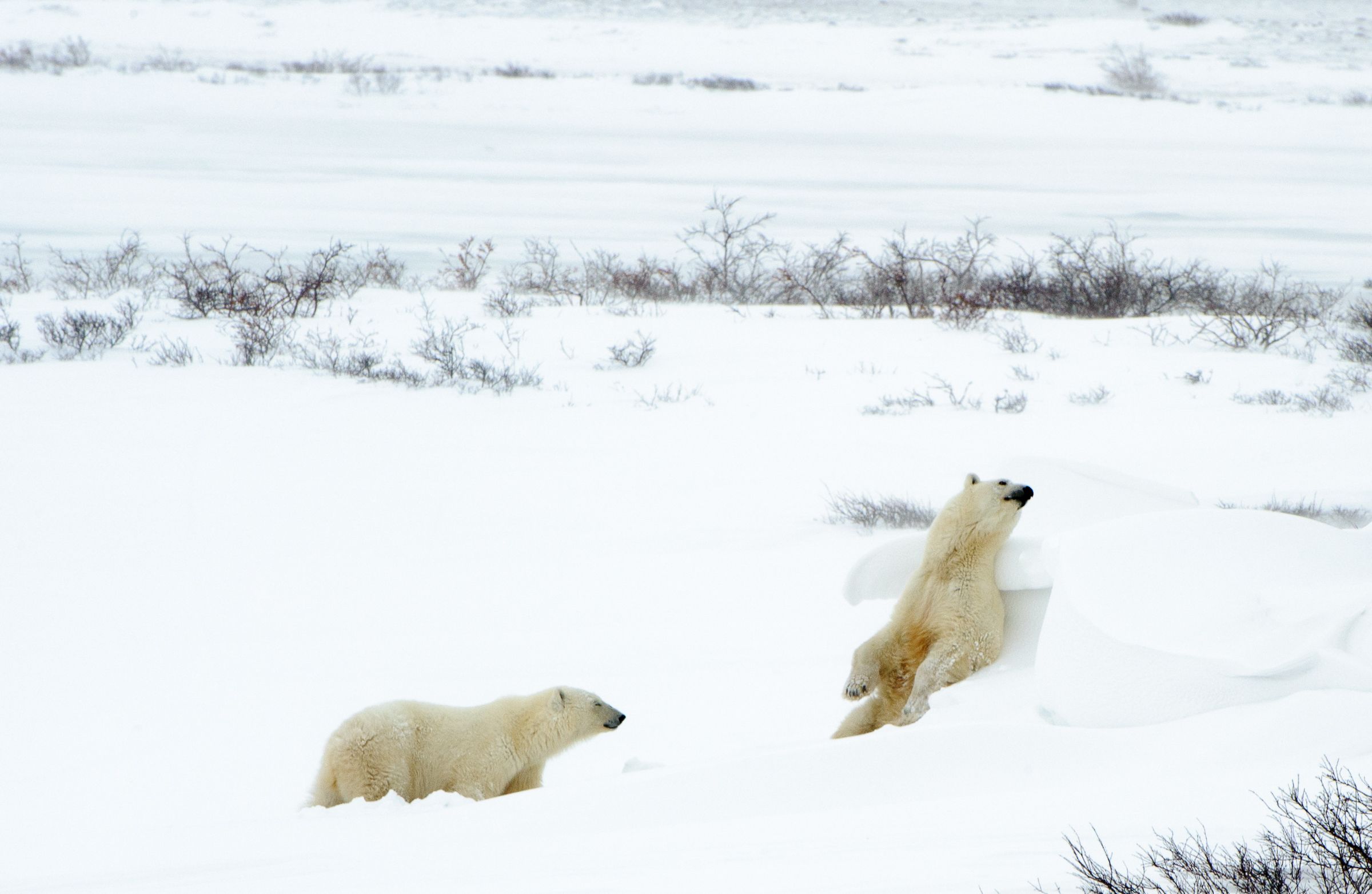 CHURCHILL WEB-11.jpg