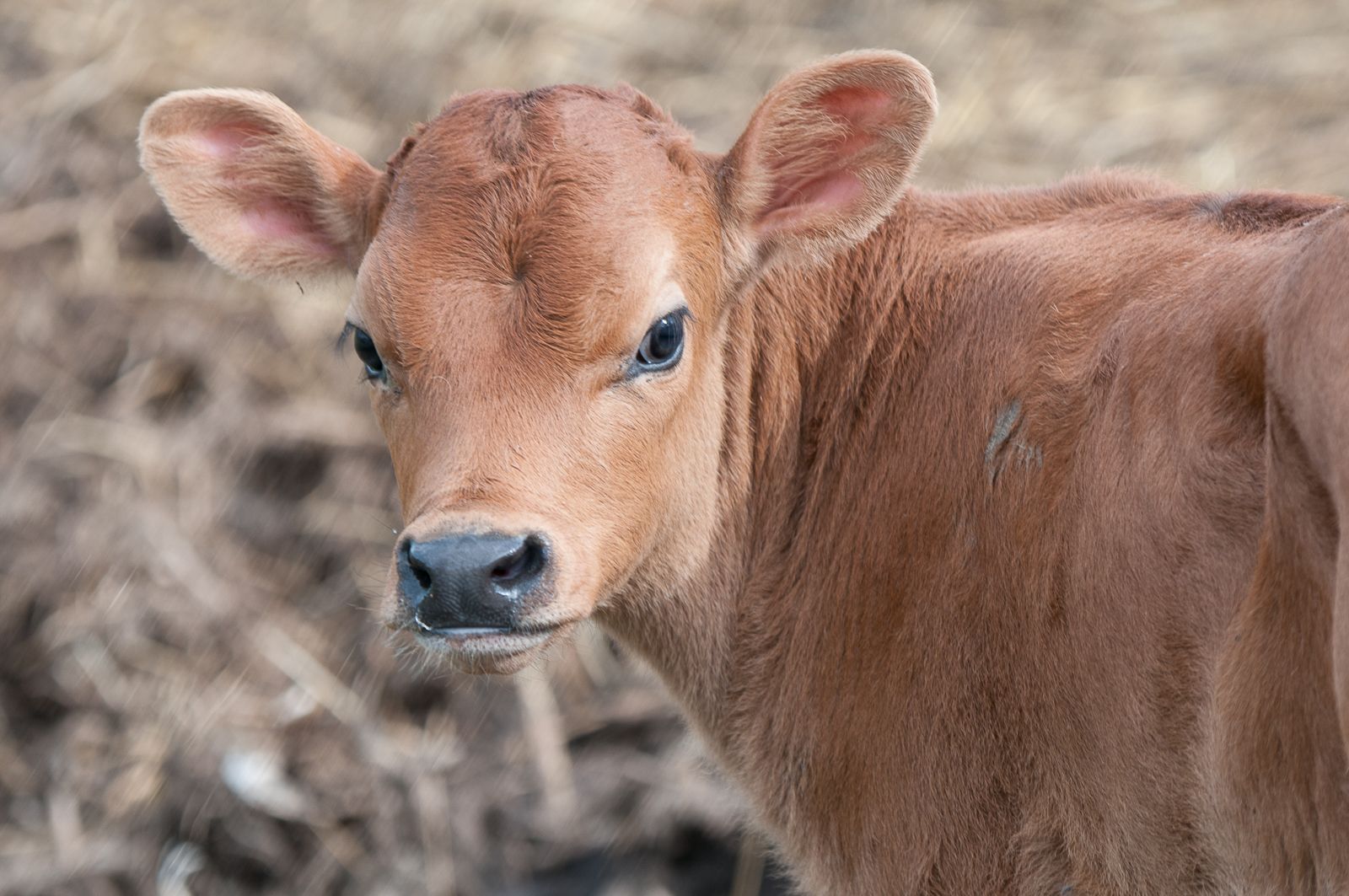 FARM TO TABLE WEB IMAGES-3.jpg