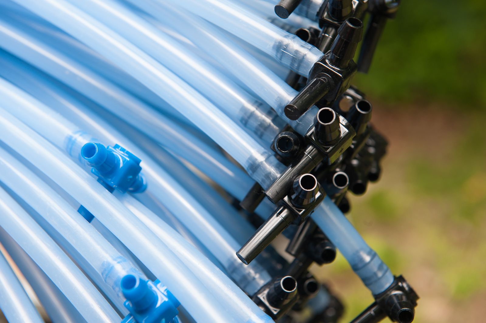 FARM TO TABLE WEB IMAGES-21.jpg