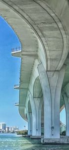 IMG_4645.jpeg