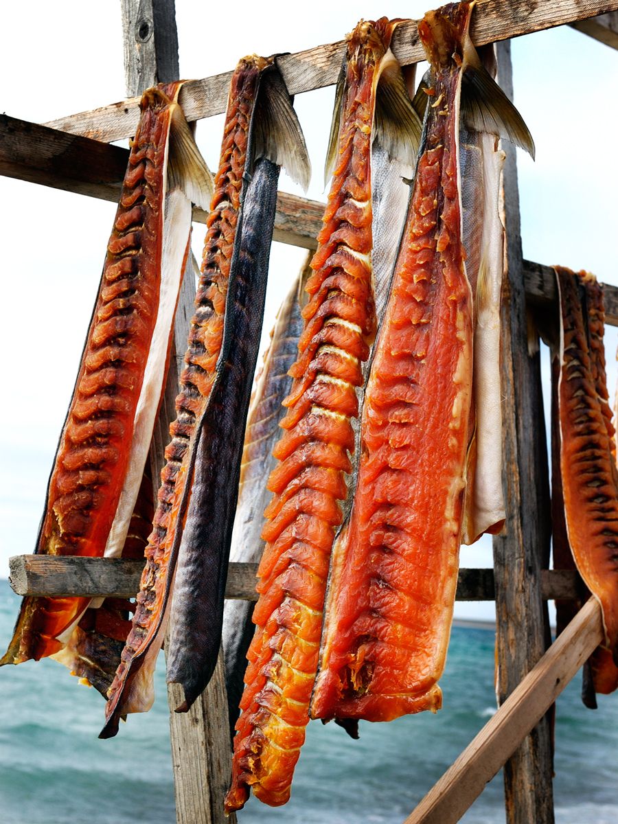 Arctic Char drying on racks, Cambridge Bay, Nunavut Arctic Char drying on racks