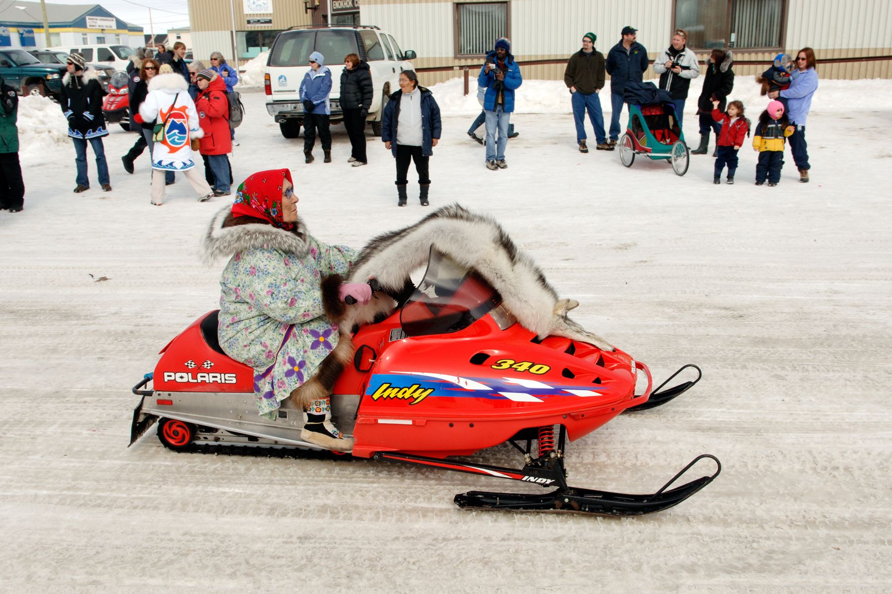 Innuit elder riding a snow machine with wolf skin , Spring Parade, Cambridge Bay, Nunavut Innuit elder riding a snow machine with wolf skin