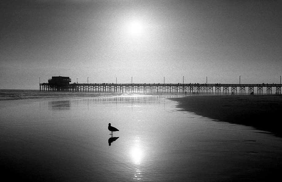 Newport Beach Pier at sunset, Newport Beach, CA