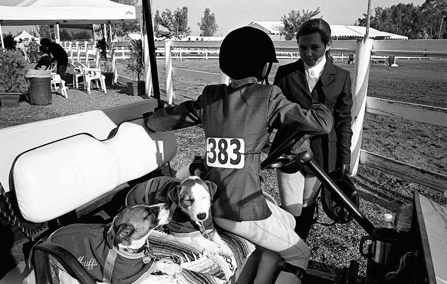 Hunter Jumper competitors, Elkgrove, CA