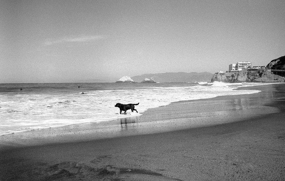 Cliff House at Ocean Beach, San Francisco, CA