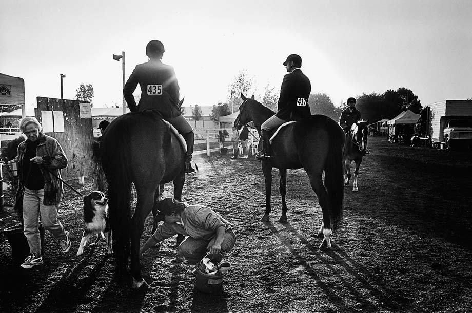 Hunter Jumper Competitor's, Elk Grove, CA.