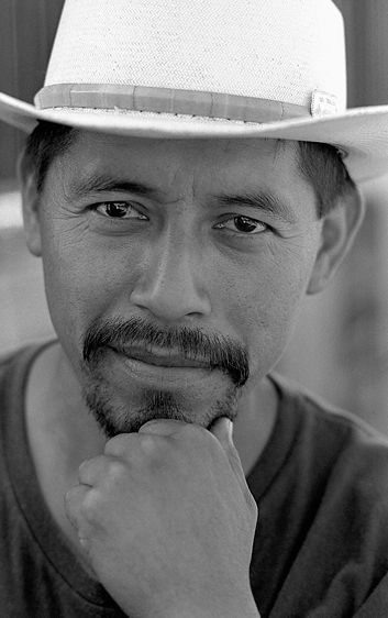 Hunter Jumper Horse Groom, Elk Grove, CA.