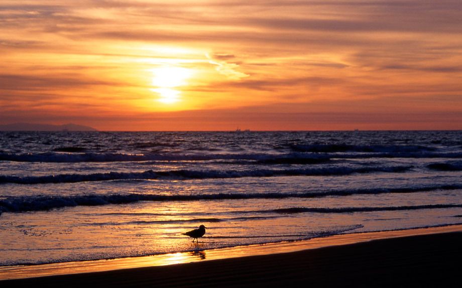 Newport Beach at sunset, Newport Beach, CA