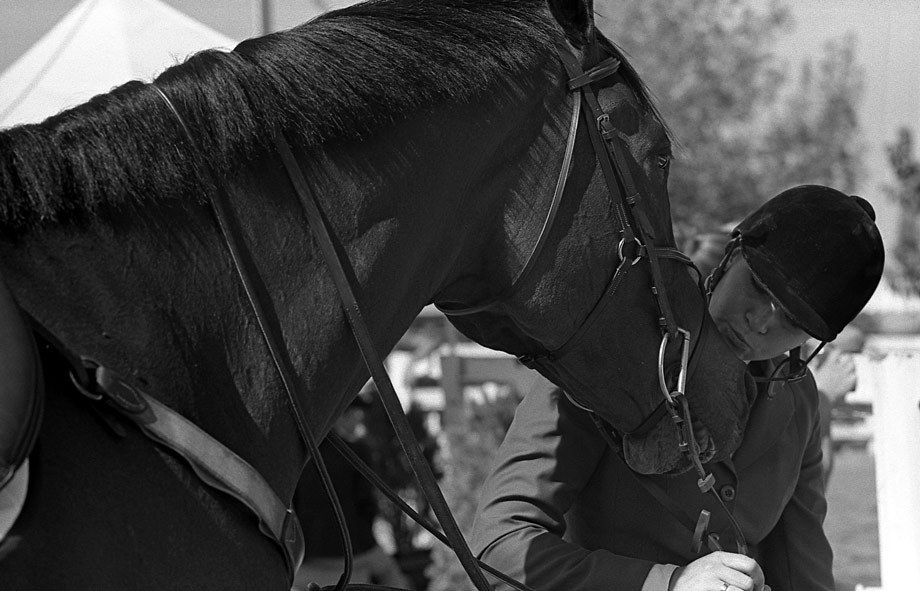 Hunter Jumper competitor with horse, Elk Grove, CA