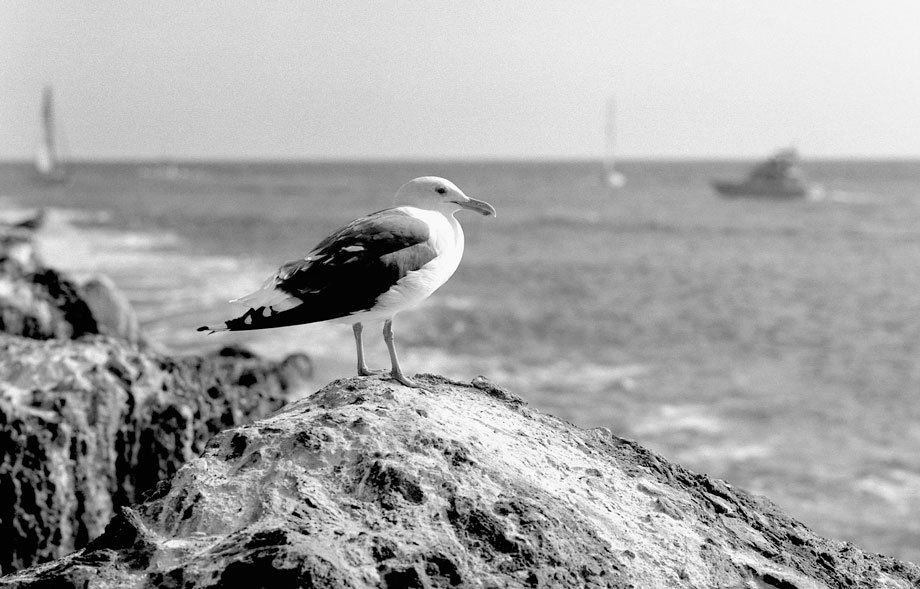 Newport Beach Jetty, Newport Beach, CA