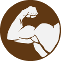 ICON 03 Muscle MID.png